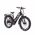 Rower elektryczny JOBOBIKE Robin mid step czarny