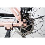 Rower elektryczny Neon Raya nude pink