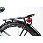 Rower elektryczny Neon VIVID 1.0 space gray