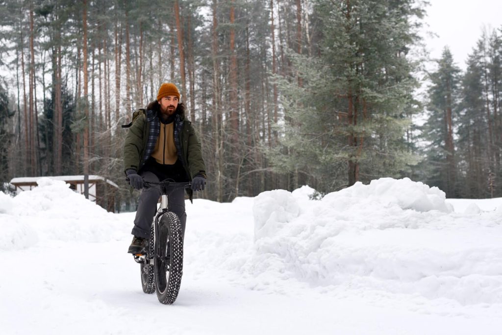 Ebike winter