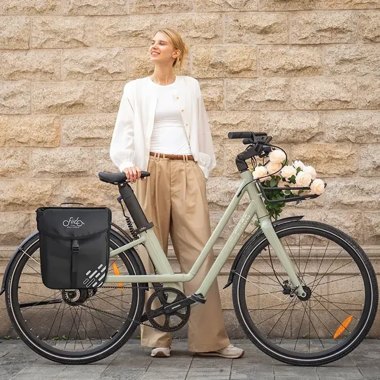 Fiido C700 akcesoria