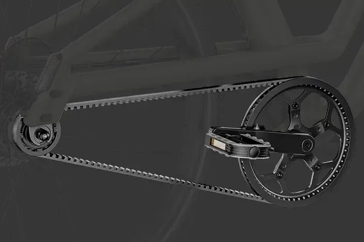 Fiido C700 pasek karbonowy