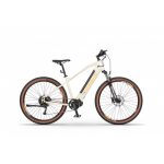 Rower elektryczny Ecobike SX 300 Sandstorm