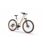Rower elektryczny Ecobike SX 300 Sandstorm
