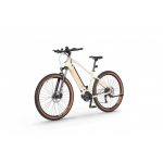 Rower elektryczny Ecobike SX 300 Sandstorm