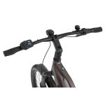 Rower elektryczny Ecobike Dare