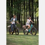 Rower elektryczny ENGWE E26