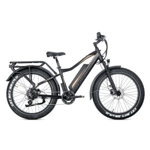 Rower elektryczny JOBOBIKE Robin Pro czarno-złoty