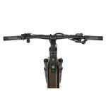 Rower elektryczny Ecobike SX 300 Green