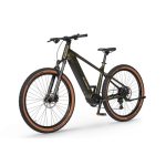 Rower elektryczny Ecobike SX 300 Green