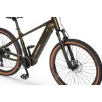 Rower elektryczny Ecobike SX 300 Green