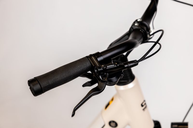 Rower elektryczny Storm E-Diamond Pro 1.0 28" cappuccino