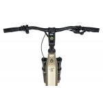 Rower elektryczny Ecobike Flex Titan