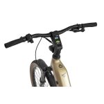 Rower elektryczny Ecobike Flex Titan