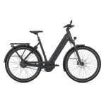 Rower elektryczny Gazelle Ultimate C380 low-step teal grey