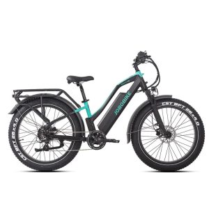 Rower elektryczny JOBOBIKE Robin Pro rama z niskim przekrokiem czarno-turkusowy