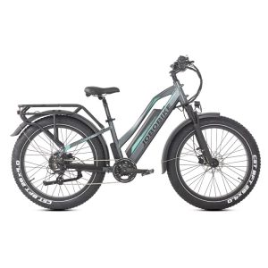 Rower elektryczny JOBOBIKE Robin Pro rama z niskim przekrokiem szary