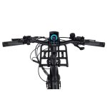 Rower elektryczny Ecobike Cargo