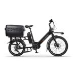 Rower elektryczny Ecobike Cargo