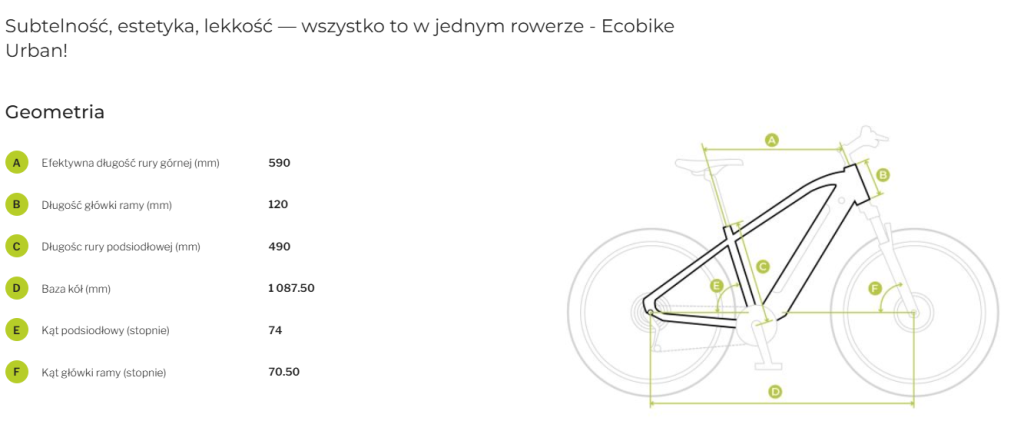 Geometria Ecobike fitness